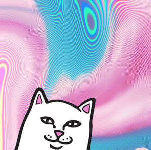 Meet your Posher, Miles